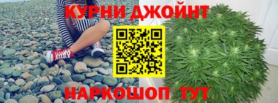 сатива Ирбит