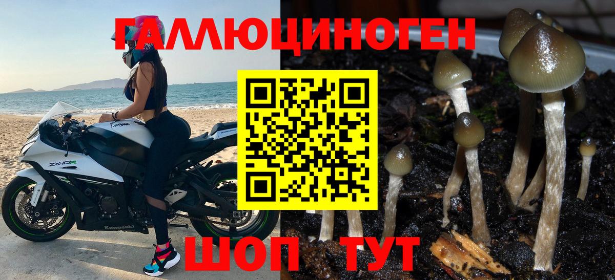Псилоцибиновые грибы прущие грибы  Людиново  Галлюциногенные грибы ЛСД 