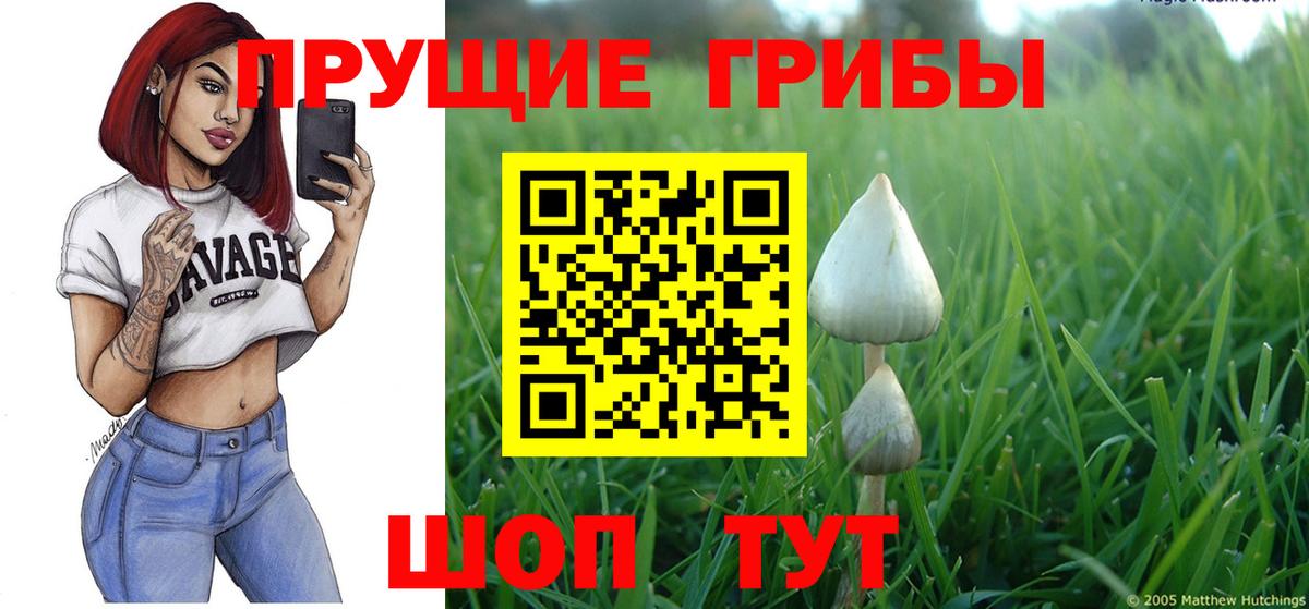 Людиново  Псилоцибиновые грибы ЛСД  Вход с VPN 