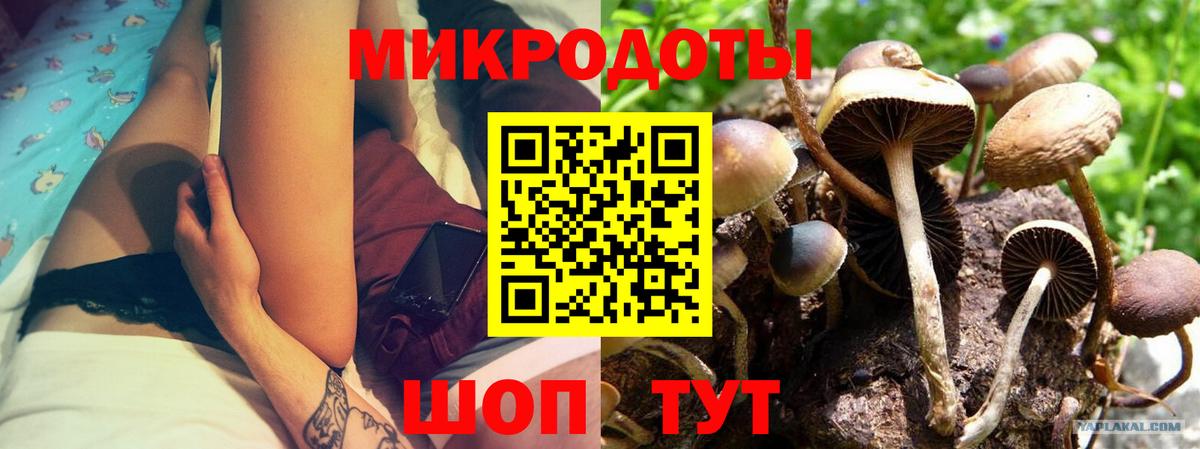 Галлюциногенные грибы GOLDEN TEACHER Людиново